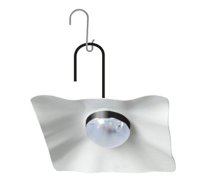 Ampoule Light Bulb